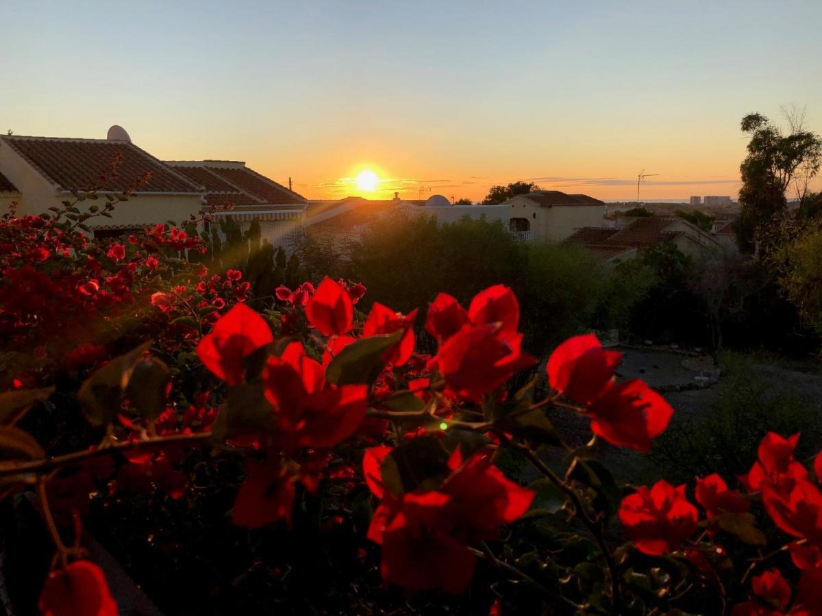 Sonniges Apartment An Der Costa Blanca San Fulgencio 外观 照片